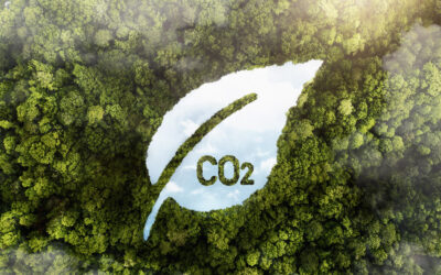 Booster sa démarche RSE en réalisant le bilan carbone de son entreprise
